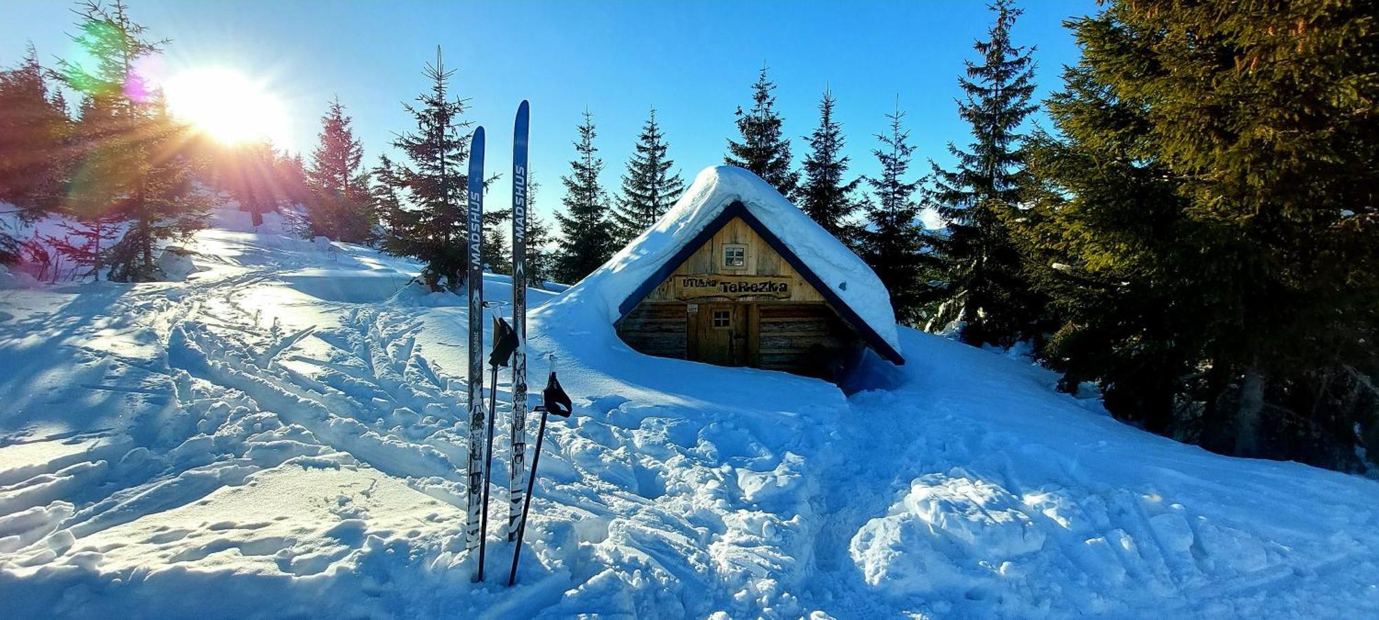 Tiny House Olivia Leilighet Liptovský Hrádok Eksteriør bilde
