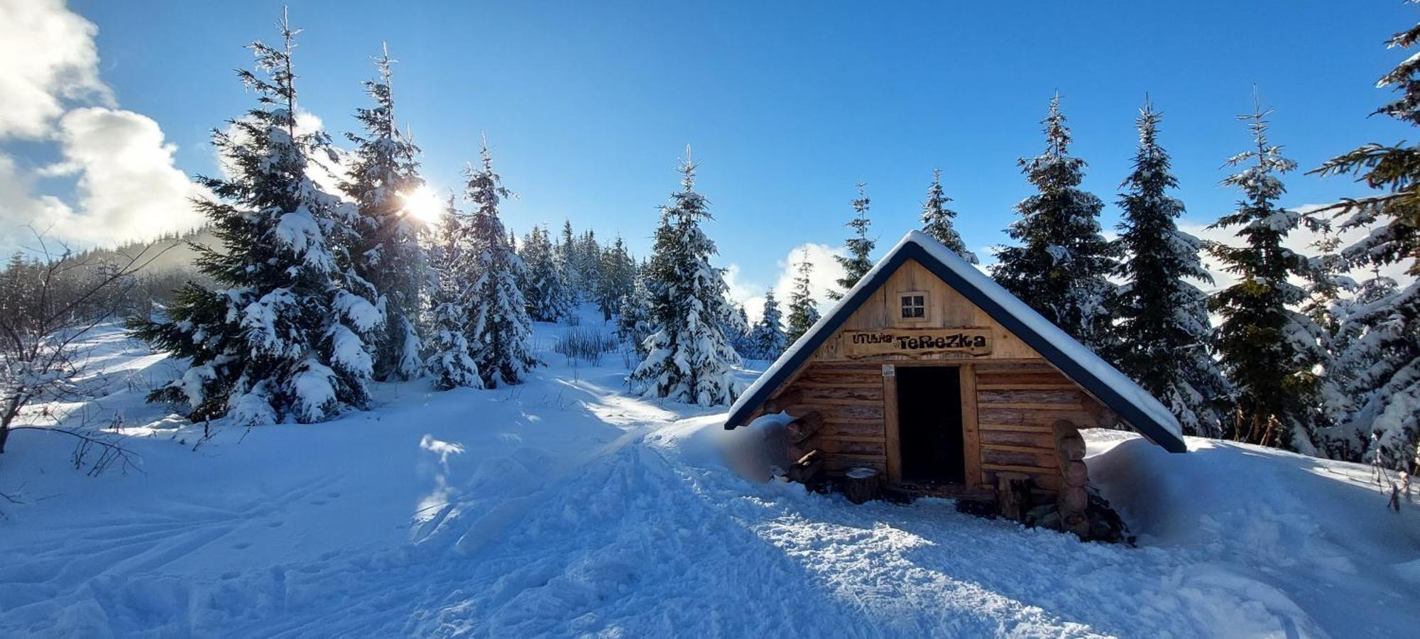 Tiny House Olivia Leilighet Liptovský Hrádok Eksteriør bilde